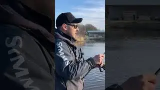 КАК ПОЙМАТЬ ЩУКУ ВЕСНОЙ? #fishing #спиннинг #щука #fishingvideo #рибалка #рыбалка