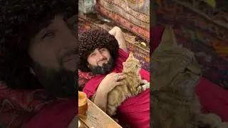 📌ОЧЕНЬ ЛЮБЛЮ КОШЕК 🐈😊 А ВЫ? У ВАС ЕСТЬ КОШКА?