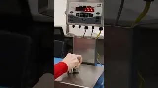 Checkweighing Demonstration