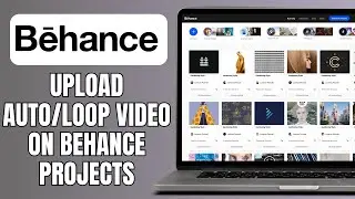 How To Upload Auto/Loop Video On Behance Projects