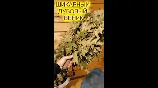 Дубовые веники для бани из проверенного магазина