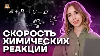 Все о скорости химической реакции | Химия ЕГЭ 10 класс | Умскул