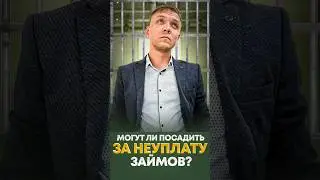 Могут ли посадить в тюрьму за неуплату микрозаймов.