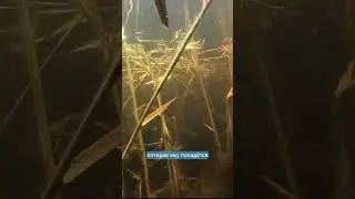 Первый раз на подводной охоте! 