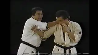 Ashihara Karate Hideyuki Ashihara