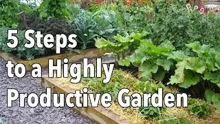 Vegetable Gardening: How to Plan a Highly Productive Garden