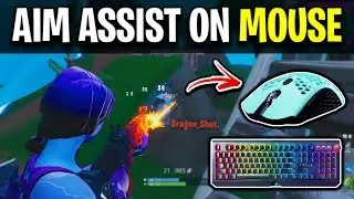 How To Get AIM ASSIST on Mouse and KEYBOARD! (NOT CLICKBAIT)