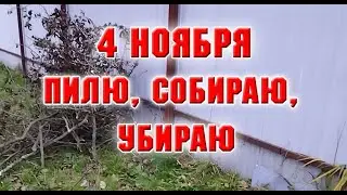 4 ноября  Пилю, собираю, убираю