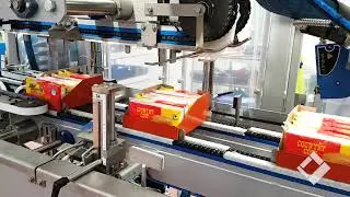 Meypack VP21 case packing machine