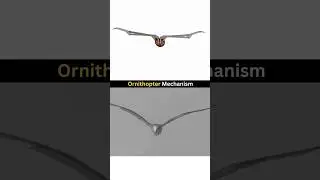 Mechanical Engineering 3D Project | Ornithopter Mechanism ❤️😍 #cad #solidworks #project