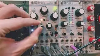 Mutable Instruments - Beads