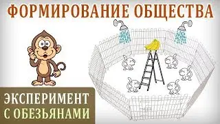 Формирование Общества. Как Формируется Общественное Мнение