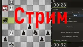 Шахматы. Веселимся в турнире на lichess