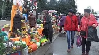 Сельскохозяйственная ярмарка
