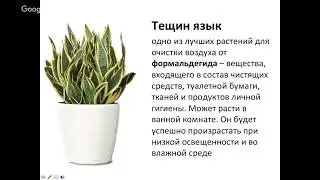 Почему дома токсинов больше, чем на улице?