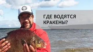 Где водятся Кракены? Лещ на Рыбинском водохранилище