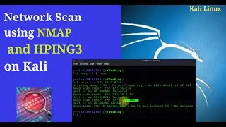 Active Network Scanning using NMAP and Hping3 on Kali Linux