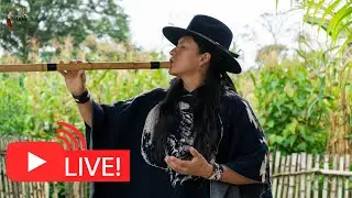 Andean Live Music from Nature for Relax