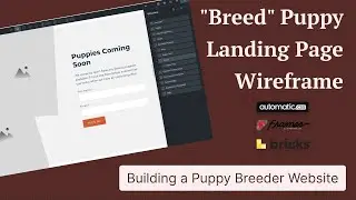 Puppy Breeder Website: Puppy Landing Page Wireframe Using  ACSS & Frames