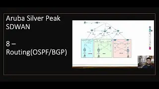 Aruba Silver Peak SDWAN -8 - Routing ( OSPF/BGP)