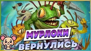 🐸 МУРЛОКИ - СКРЫТАЯ ИМБА ИГРЫ? | Hearthstone - МЕТАБРЕЙКЕР