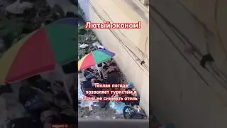 🌴КОГДА ОЧЕНЬ ХОЧЕТСЯ В СОЧИ НА ОТДЫХ. Знающие и экономные выбирают прохладное русло реки #всеосочи