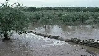 Summer storms lash central Italy causing severe flooding