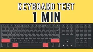 How to Test Keyboard Keys, Latency, and Response Time: Complete Guide for Laptops, MacBooks