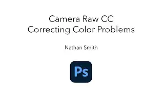 Camera Raw CC   Correcting Image Color Problems