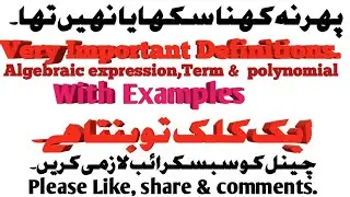 What is algebraic  expressions ,algebraic  term and polynomial. Difference Between With Examples .