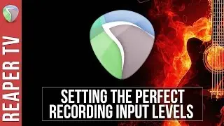 REAPER: Setting Optimal Recording Levels