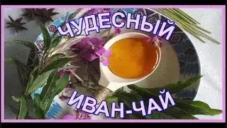 Уникальный ,полезный и очень вкусный  ИВАН ЧАЙ