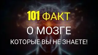 101 ФАКТ О МОЗГЕ ЧЕЛОВЕКА, КОТОРЫЙ ТЫ НЕ ЗНАЕШЬ