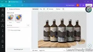 How to Remove the Background from a Picture in Canva: Easy Tutorial