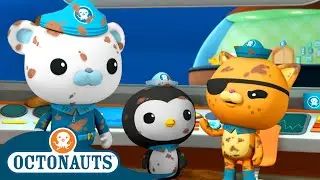 @Octonauts - The Mudskippers | Season 3 | Full Episodes | Cartoons for Kids