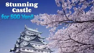 Absolutely Stunning Castle for only 500 Yen - Nagoya Castle Japan 名古屋城