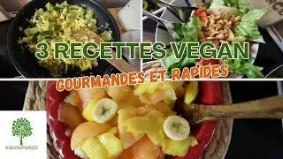 3 RECETTES VEGAN pour un REPAS RAPIDE et EQUILIBRÉ | LUNDI VERT n°293