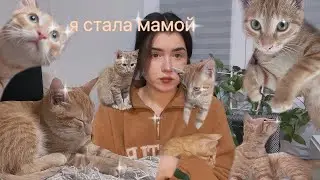 Мне страшно, я стала мамой🐱