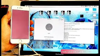 Purple Screen Mode iPhone iPad Write Serial Number Without DCSD Cable