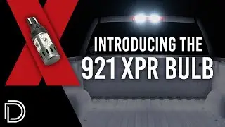 The Brightest Self-Contained 921 Bulb on the Market | XPR LED Bulb by Diode Dynamics