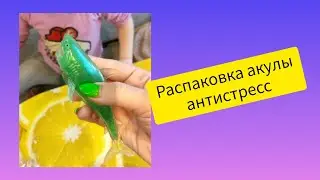 РАСПАКОВКА. Акула антистресс