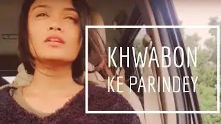 Khaabon ke Parinde | cover song | Zindagi na milegi dobara | Savi Kulkarni