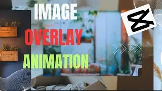 How To Add Image/Photo Overlay Animation CapCut PC/Laptop or MacBook