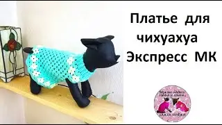 Платье для чихуахуа  Экспресс МК