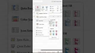 Learn how to add Databars to your data in Excel. #shorts #excel #exceltutorialforbeginners