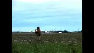 Манок на белолобого гуся БГ-01