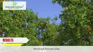 Sahajchem Products- Plant Growth Promoter results