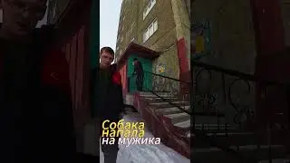 Зайка напала на мужика 