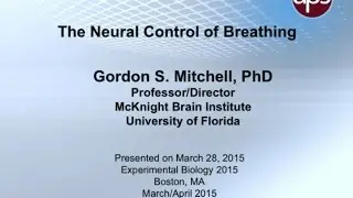 Neural Control of Breathing, 2015 Refresher Course Pt. 3