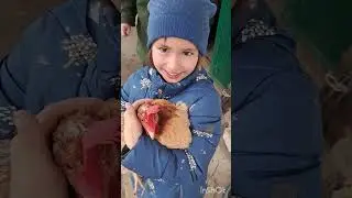 ☀️София кормит курицу🐔годує курку🤗 в гостях у бабусі
